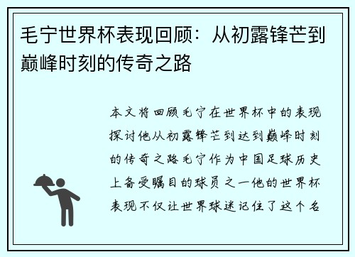 毛宁世界杯表现回顾：从初露锋芒到巅峰时刻的传奇之路